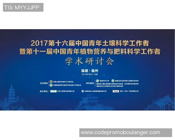 焦泊乔的成长之路与未来展望：从学术到实践的多元探索与创新